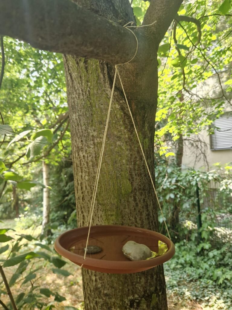 pítka pro živočichy jednoduché pítko