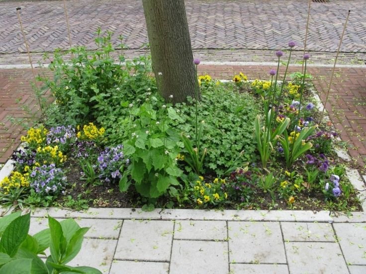 městské zahradničení alternativa pod stromem